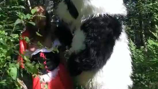 Little red riding hood fucking with panda in the wood